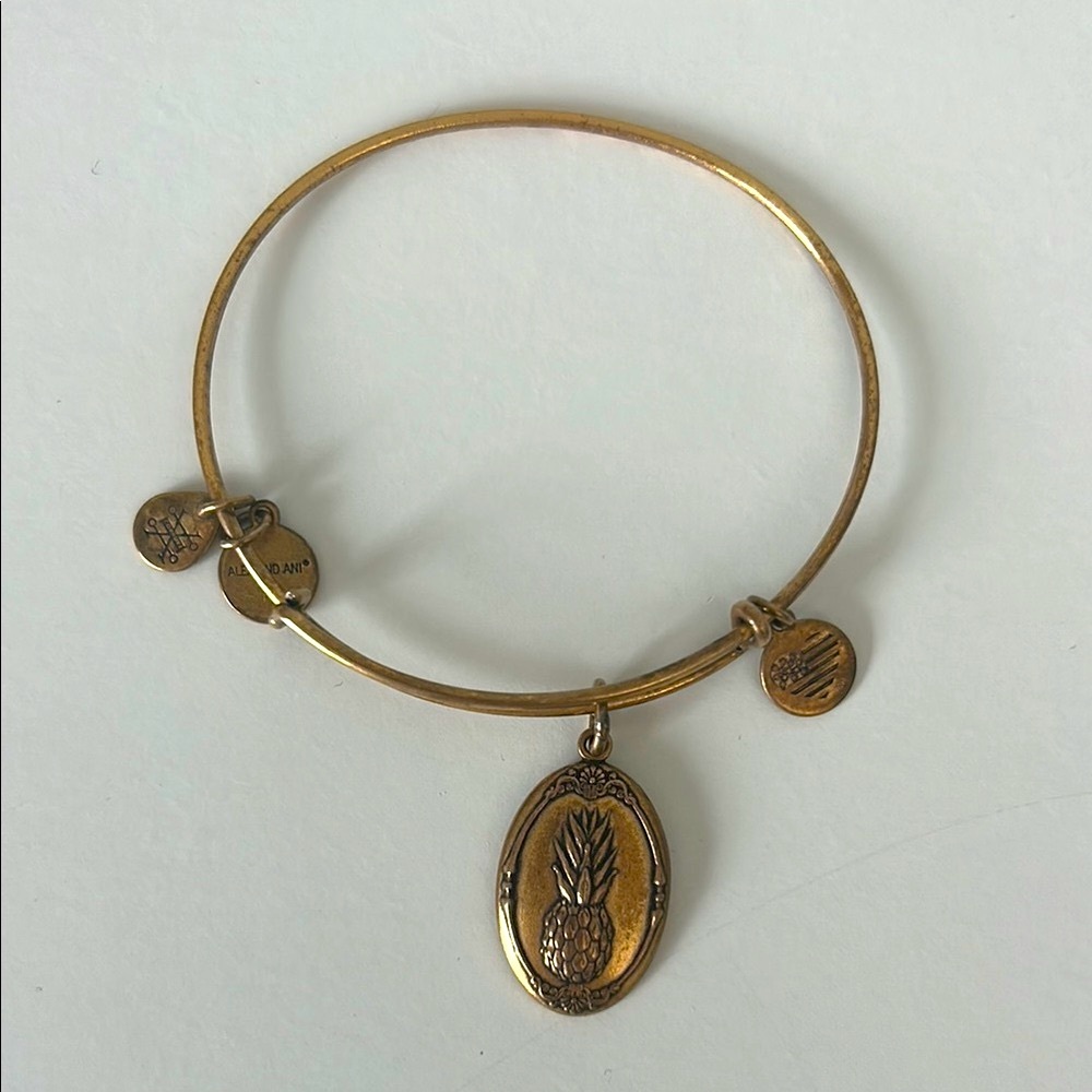 Alex and Ani Gold Charm Bracelet- Pineapple